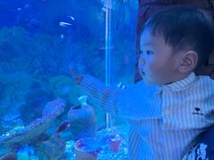 -左海海底世界