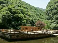 -少华山国家森林公园