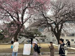 -吉林大学(南岭校区)