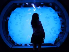 -沈阳海洋探索中心