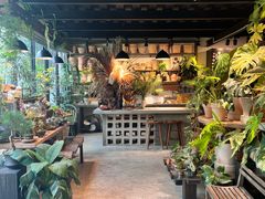 -自由生长植物工作室(深港花卉中心店)