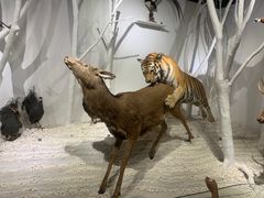 -南宫五洲植物乐园