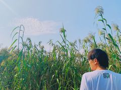 -梁鸿国家湿地公园
