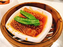 柱侯酱蒸金钱肚-安蒂娅.悦景轩中餐厅(西乡店)