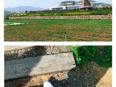 -君乐宝优致牧场