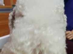 -宠福鑫动物医院·动物疾病诊疗中心(天通苑店)