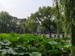 -四川大学(望江校区)