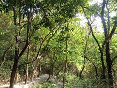 -火炉山森林公园