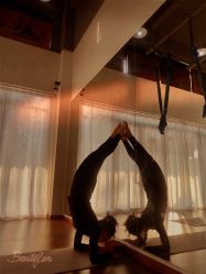 -加帕瑜伽培训学院