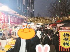 -南湖公园地摊集市