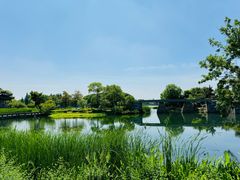 -尚湖风景区
