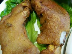-刘胖子家常菜·蹄花焖藕(中南店)