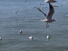 -蠡湖大桥公园