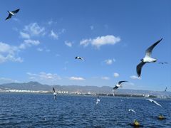 -海埂大坝