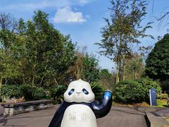 -都江堰中华大熊猫苑