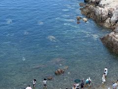 -养马岛旅游度假区