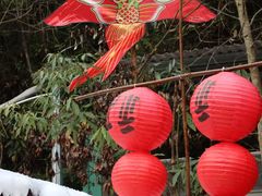 -龙湾潭国家森林公园
