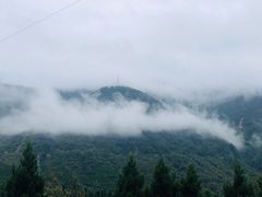 -将就吃农家特色土菜馆