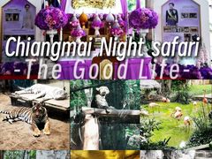 -清迈夜间动物园