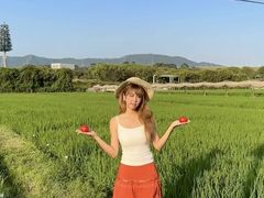 -光明小镇欢乐田园
