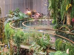 -正佳雨林生态植物园