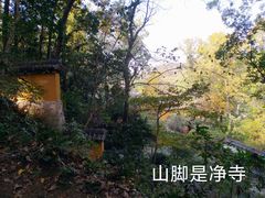 -九曜山