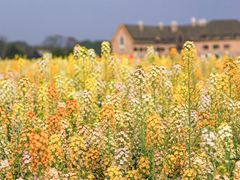 -中国天府农业博览园