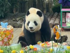 -大连森林动物园