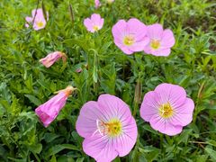 -汉长安城未央宫国家考古遗址公园