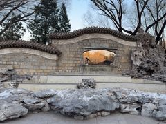 -团结湖公园