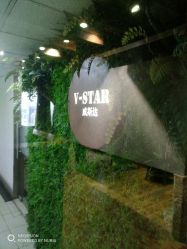 -V-STAR威斯达•高级私人定制