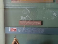 -北京古代建筑博物馆