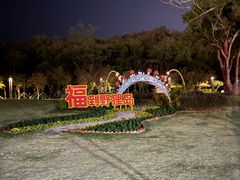 -野狸岛