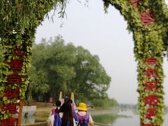 -东方巨龟苑景区