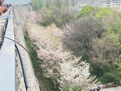 -南京城墙景区