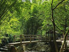 -紫云谷景区