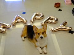 -BreadTalk面包新语·烘焙蛋糕(海珠丽影广场店)