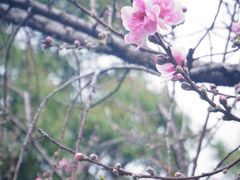 -乌山风景区