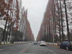 -九峰山
