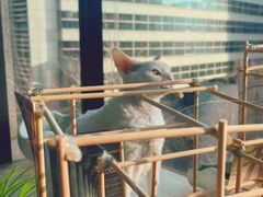 -SIA国际艺术留学·作品集辅导(海淀校区)