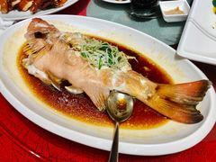 -春满园·早茶·粤菜·宴会(喜宴店)