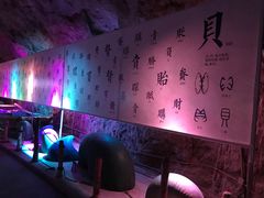 -贝壳梦幻世界