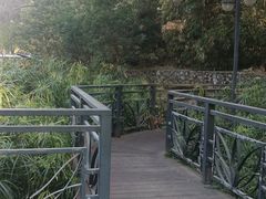 -晓港公园
