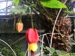 -石家庄市植物园