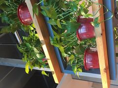 -比格比萨自助(国展店)