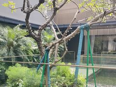 -太子园林酒家