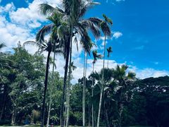 -中国科学院西双版纳热带植物园