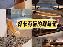 -原乡芦茨咖啡
