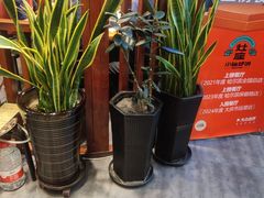-灶座小锅烀饼·铁锅炖(道里店)