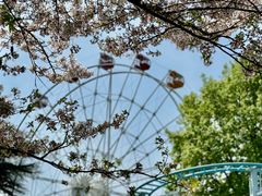 -红山森林动物园